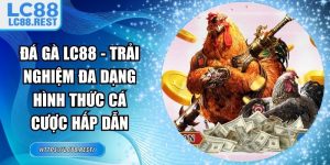 Đá Gà LC88