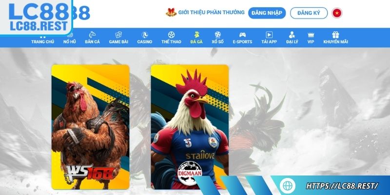 Tổng quan sảnh Đá Gà LC88