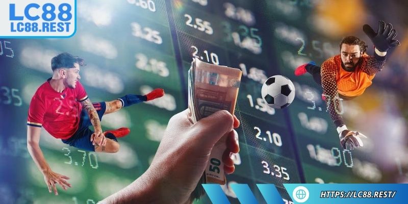 Tối ưu hóa lợi nhuận